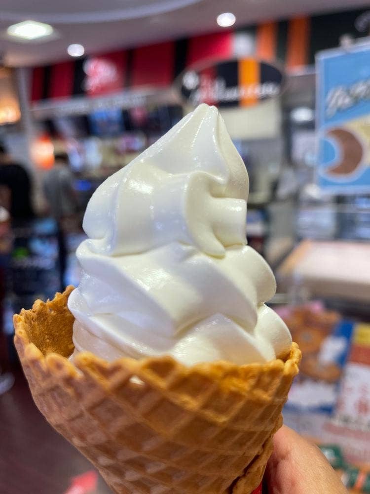 八ヶ岳サービスエリア 下り