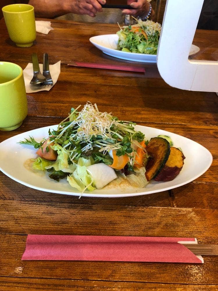 もりのたね