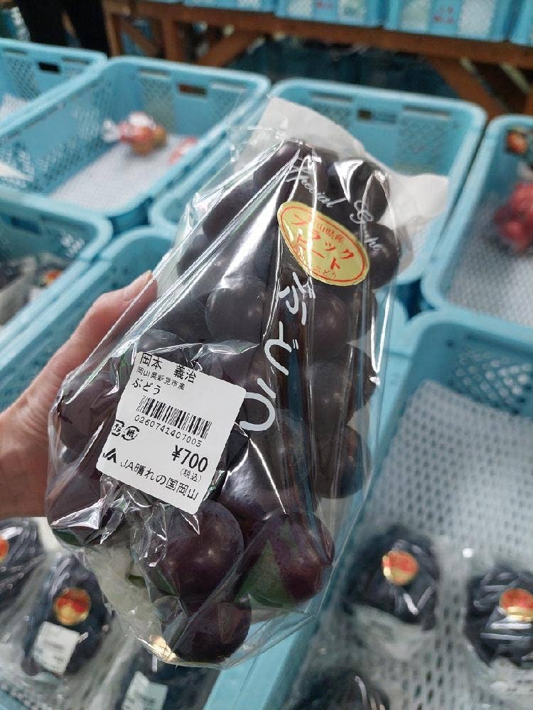 JAあしん広場 特産館