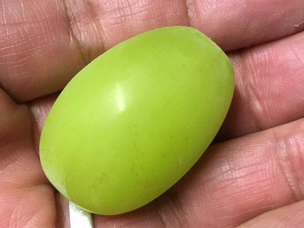 サカイダフルーツ