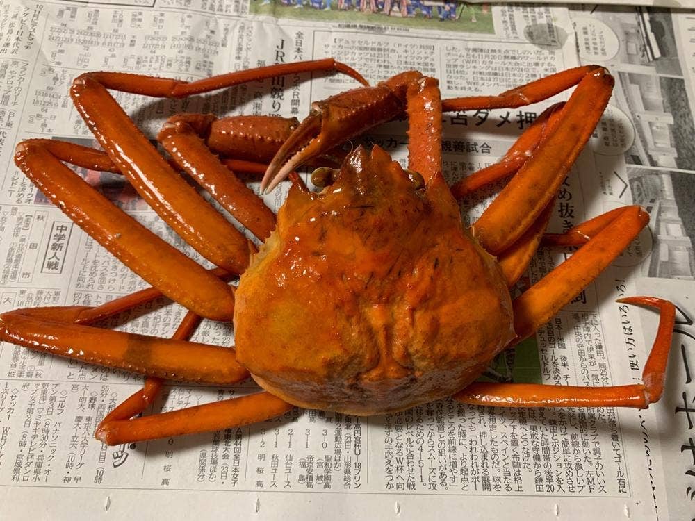 安田水産