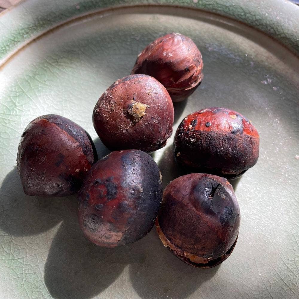 久保田アイス とさのさとアグリコレット