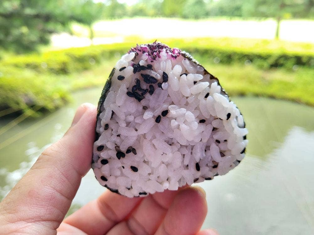 くれは亭 呉羽カントリークラブ