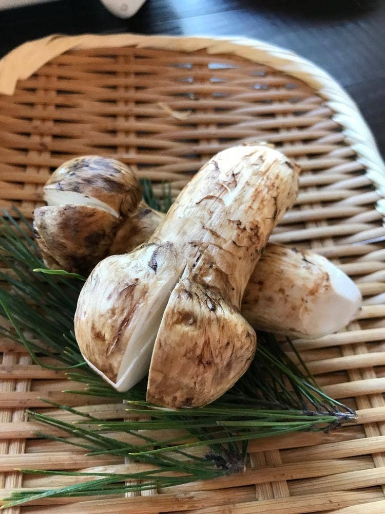 あぜみち山荘
