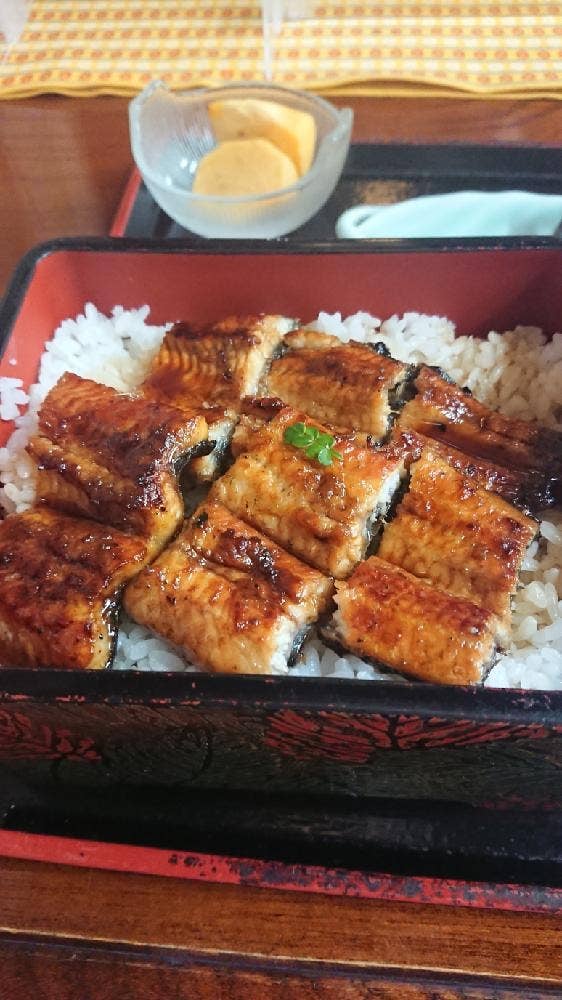 食処 かしわぎ