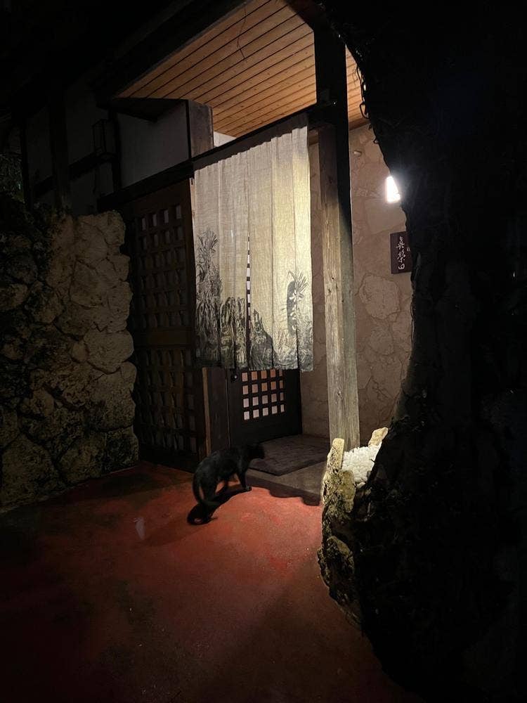 酒膳 眞榮田
