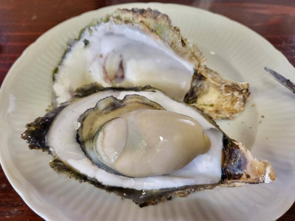 宮本水産