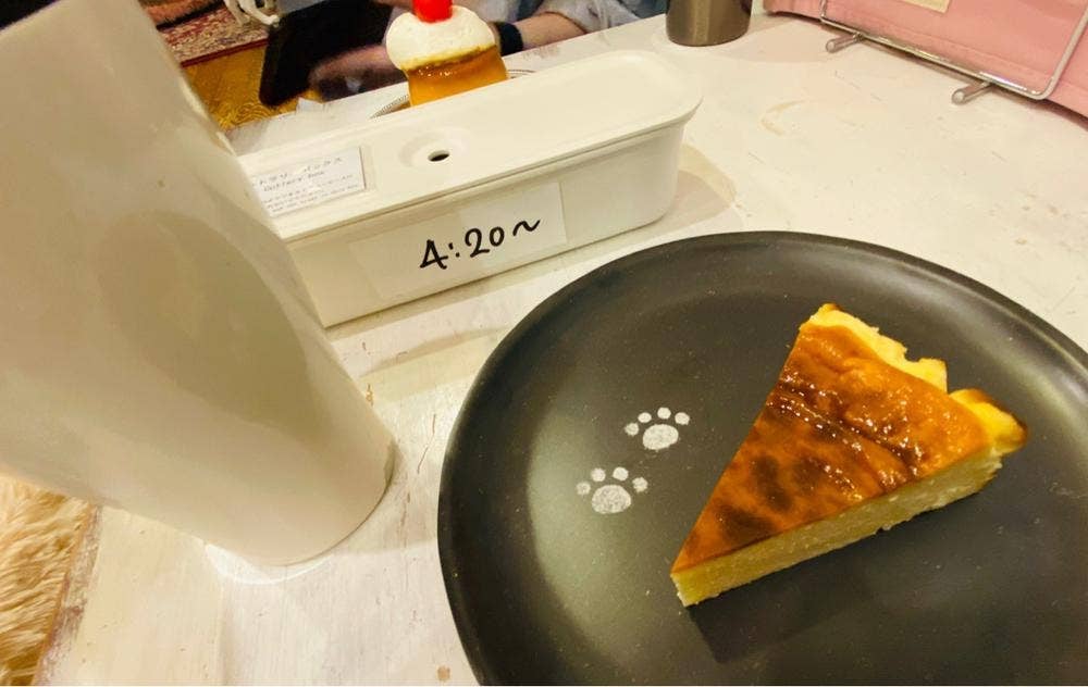 SAVE CAT CAFE