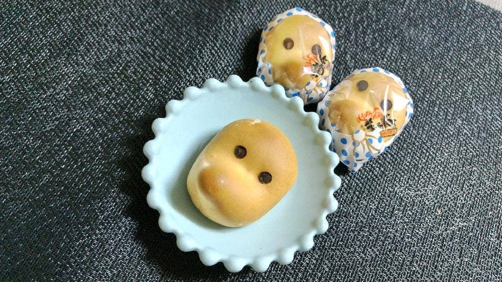 観光センターいづも