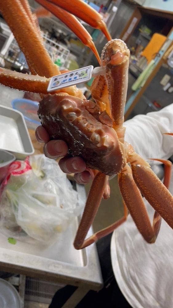 民宿海の家 つるだ