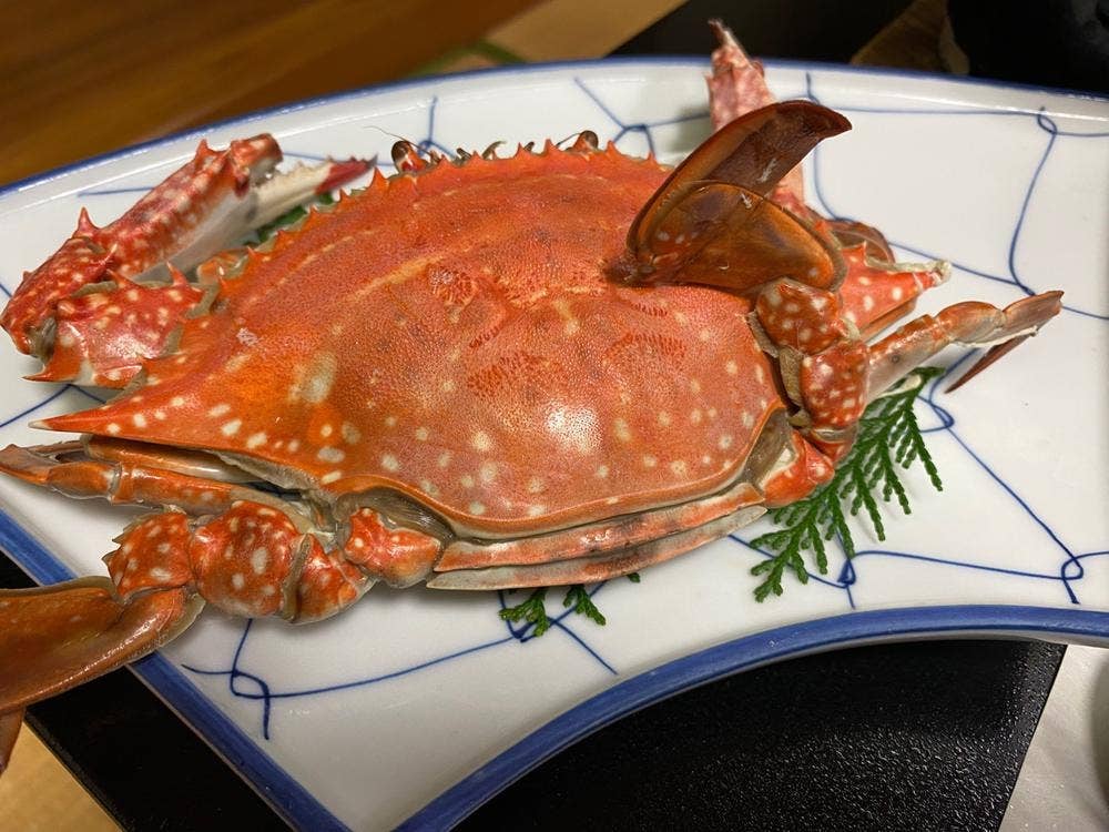 たら竹崎温泉 夜灯見荘