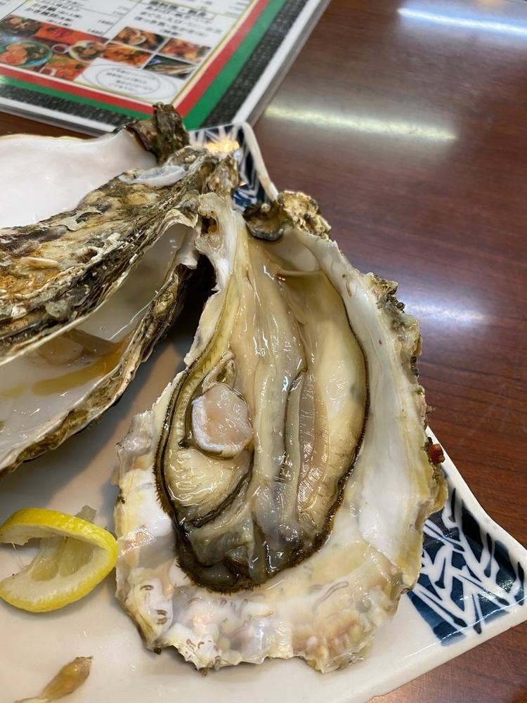 お食事処 櫻井
