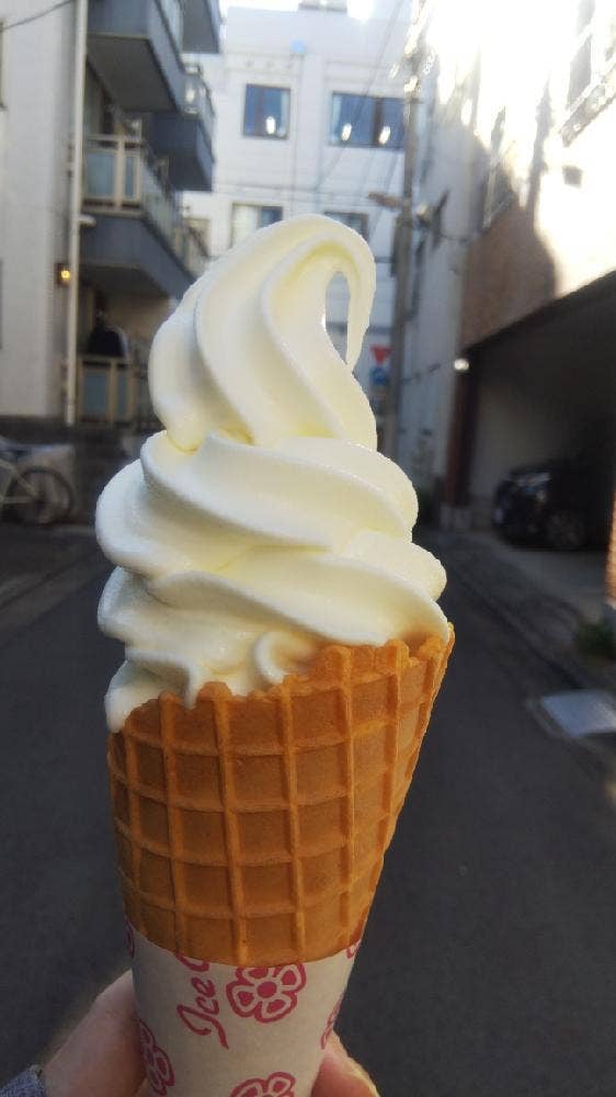 チーズのこえ