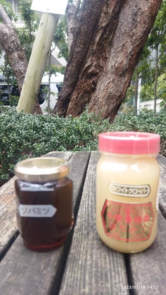 多摩養蜂園