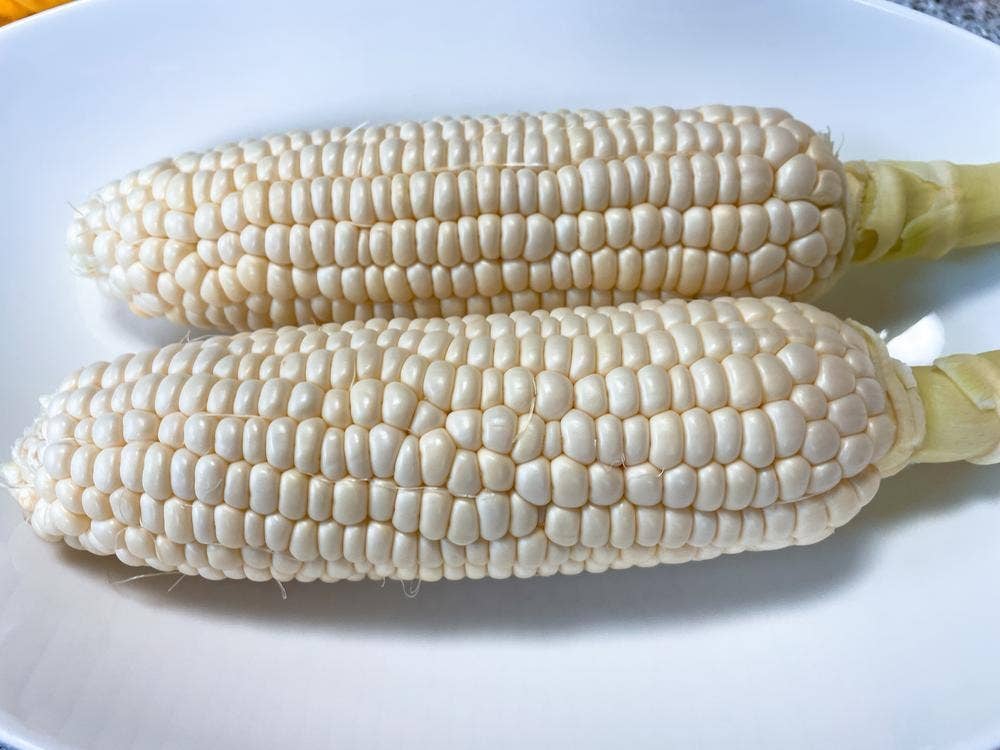 山彦
