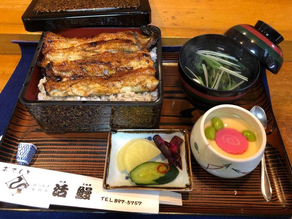 活鰻