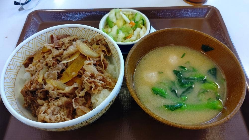 すき家 163号門真殿島店