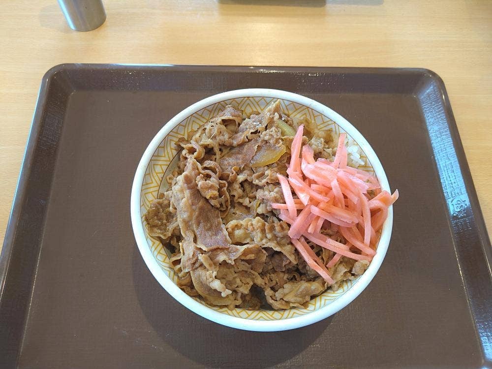 すき家 257号浜松住吉店