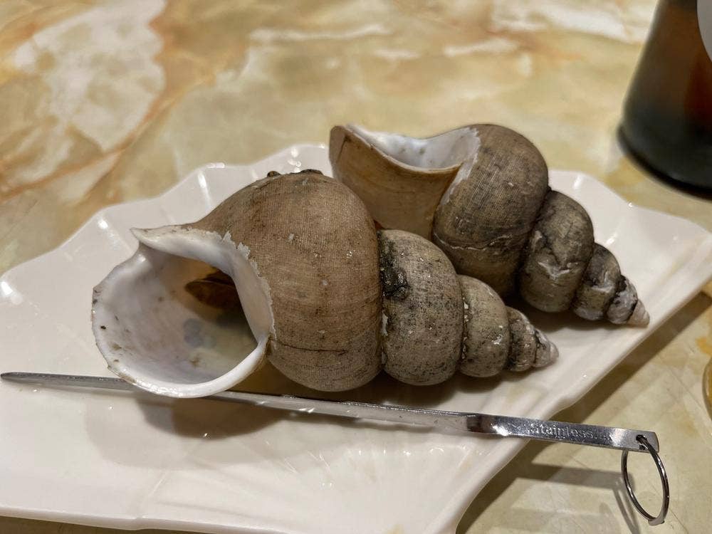 晃栄丸