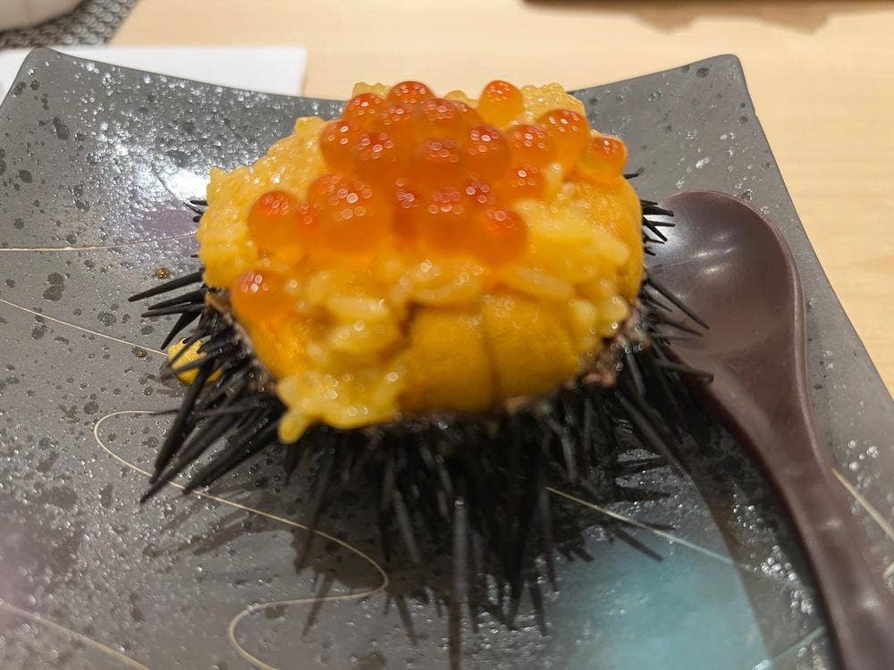 鮨 和こう