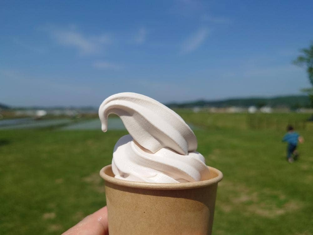 道の駅ましこ ましこのごはん