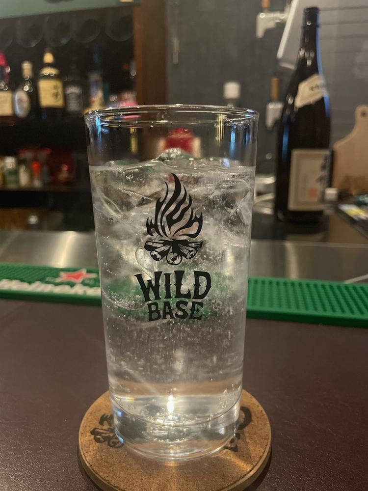 WILD BASE