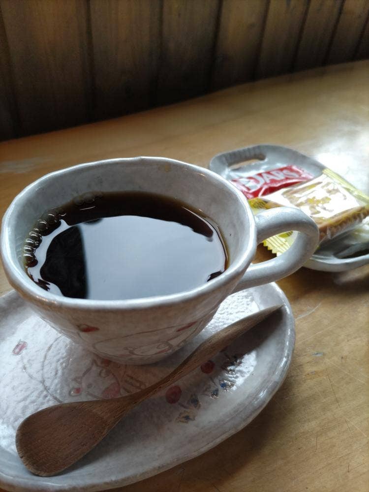 樹の萌