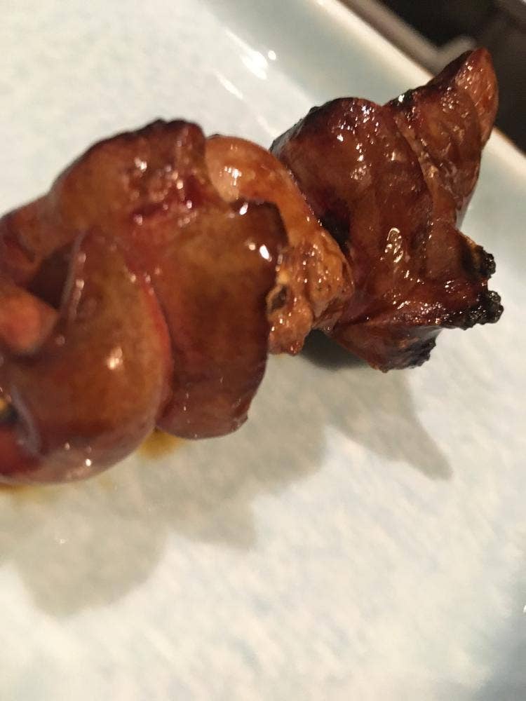 鳥伝