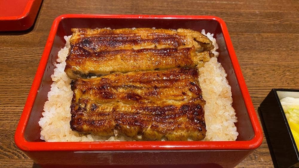 新宿 うなぎ菊川