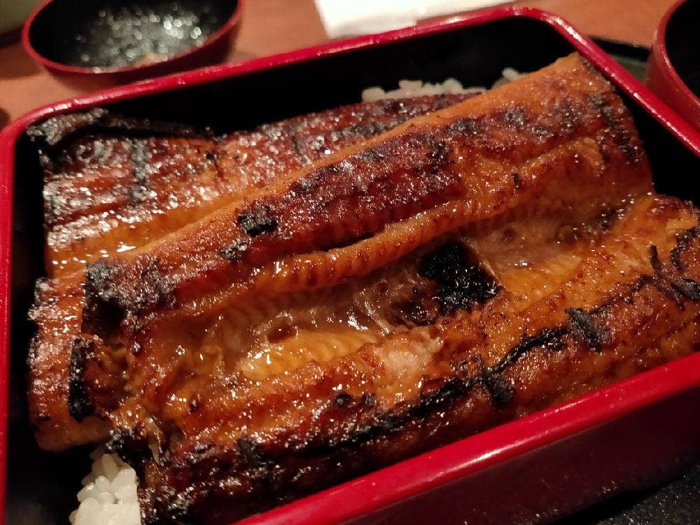築地ダイニング 金のうなぎ 中村橋店