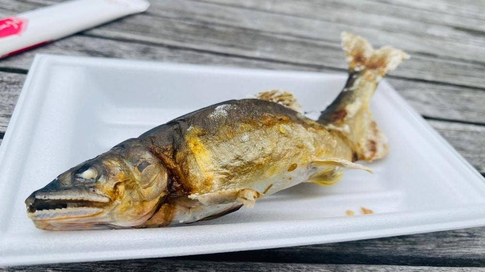 恵那峡 さかえ屋