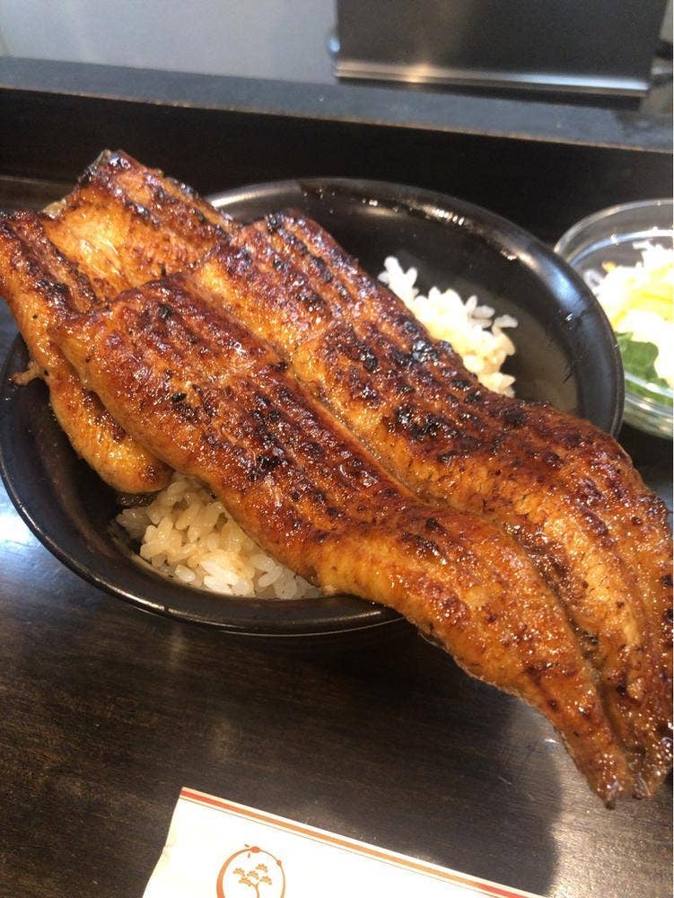 仙見