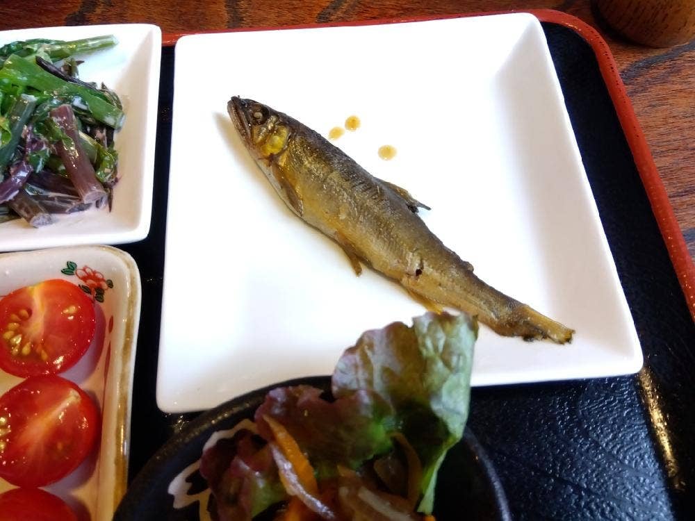 KITCHENめがね ときどき天然鮎