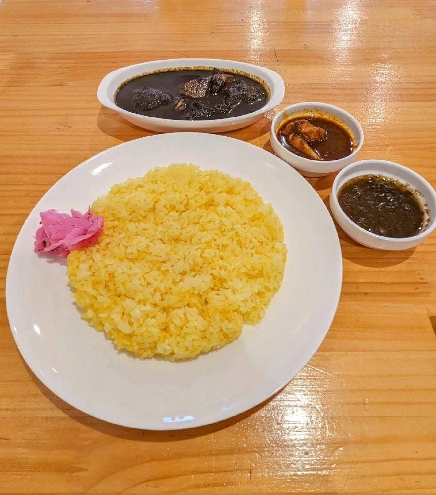 MOTO CURRY