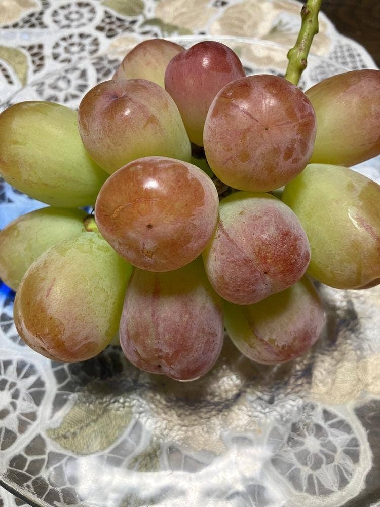 かつやま屋台 宮田