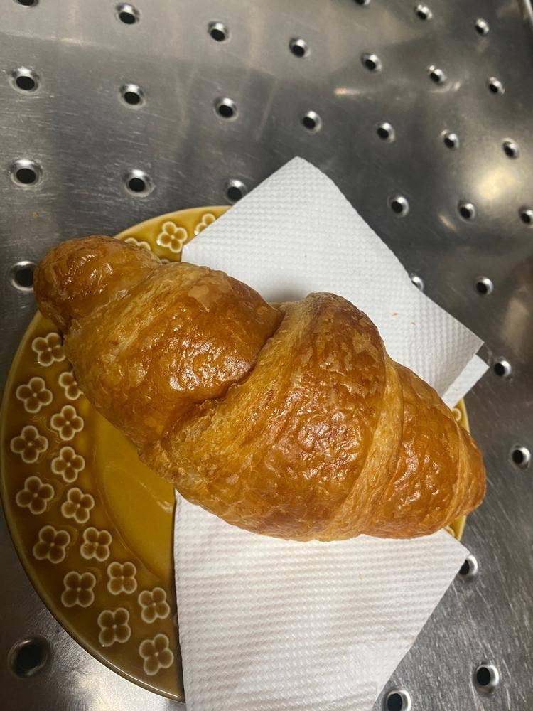 パンのなる木
