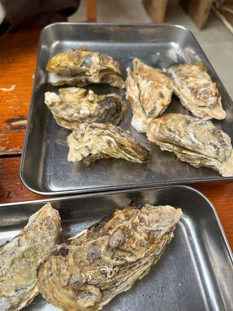 スギムラ水産