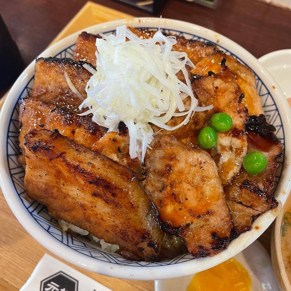 元祖豚丼屋 TONTON 高知県庁前店