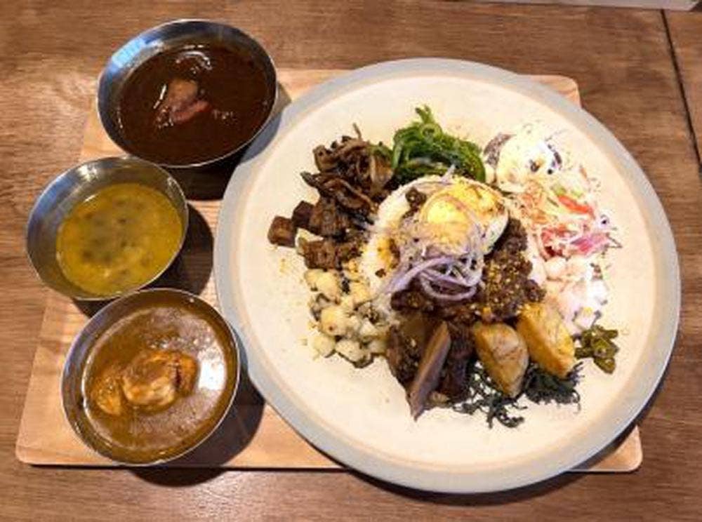 CURRY TETRA