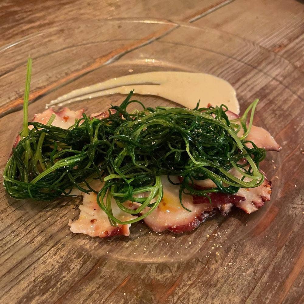 ビストロ バルパライソ