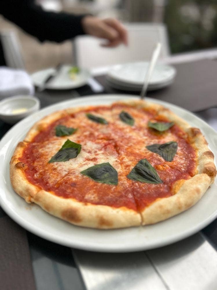 fiorentina