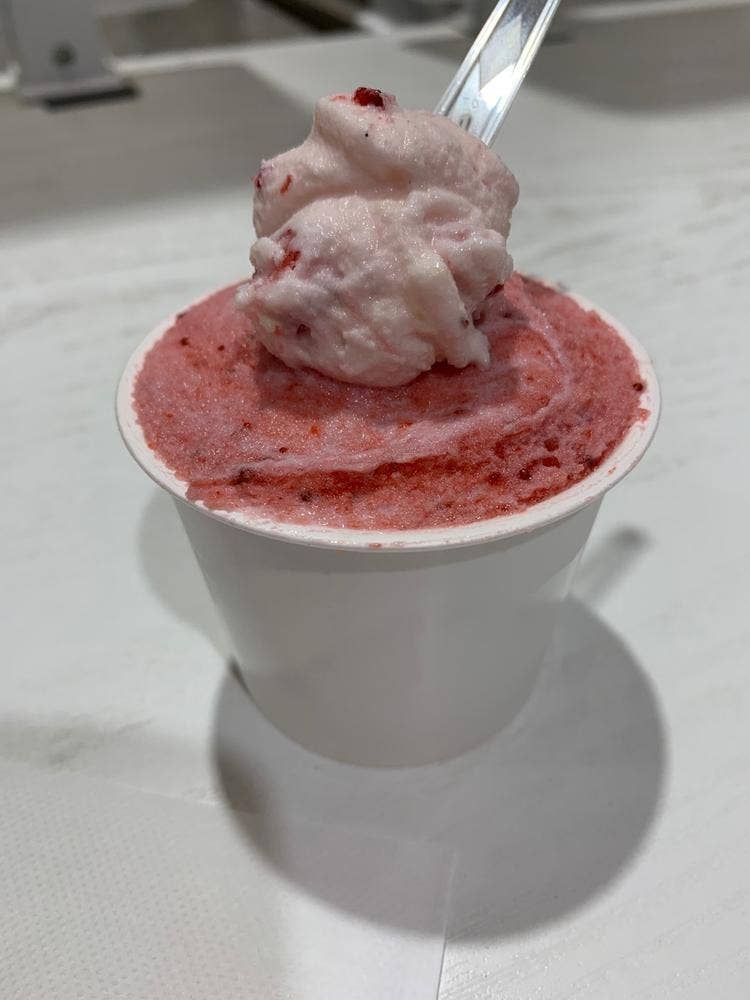 ダンディライアン