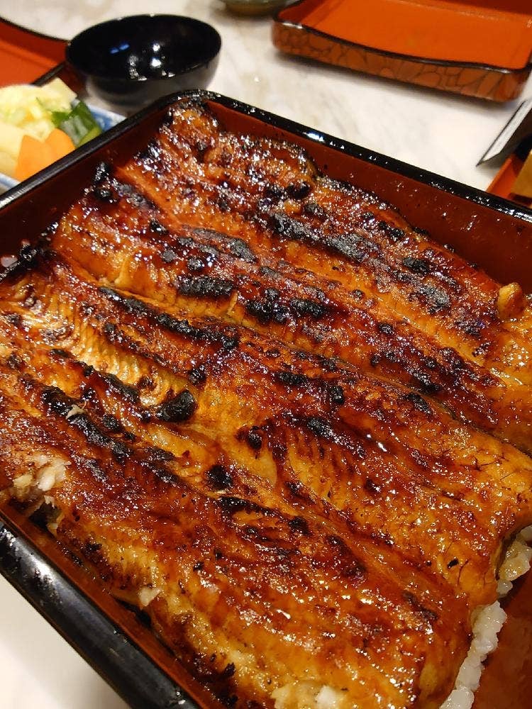 うなぎ 魚政
