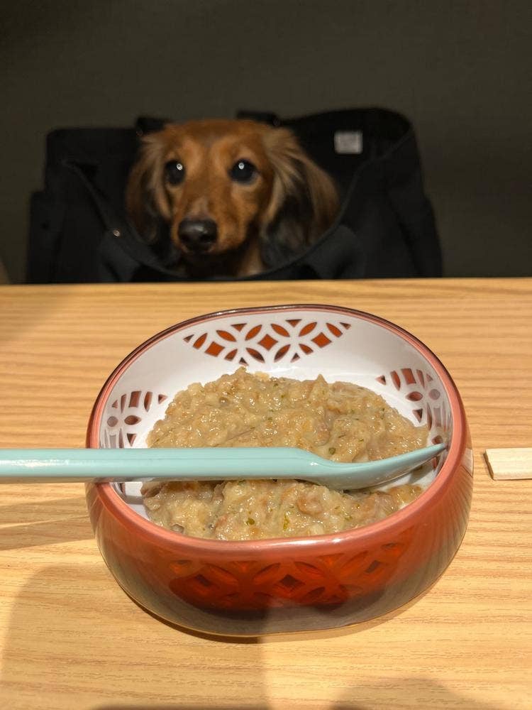 升寿司