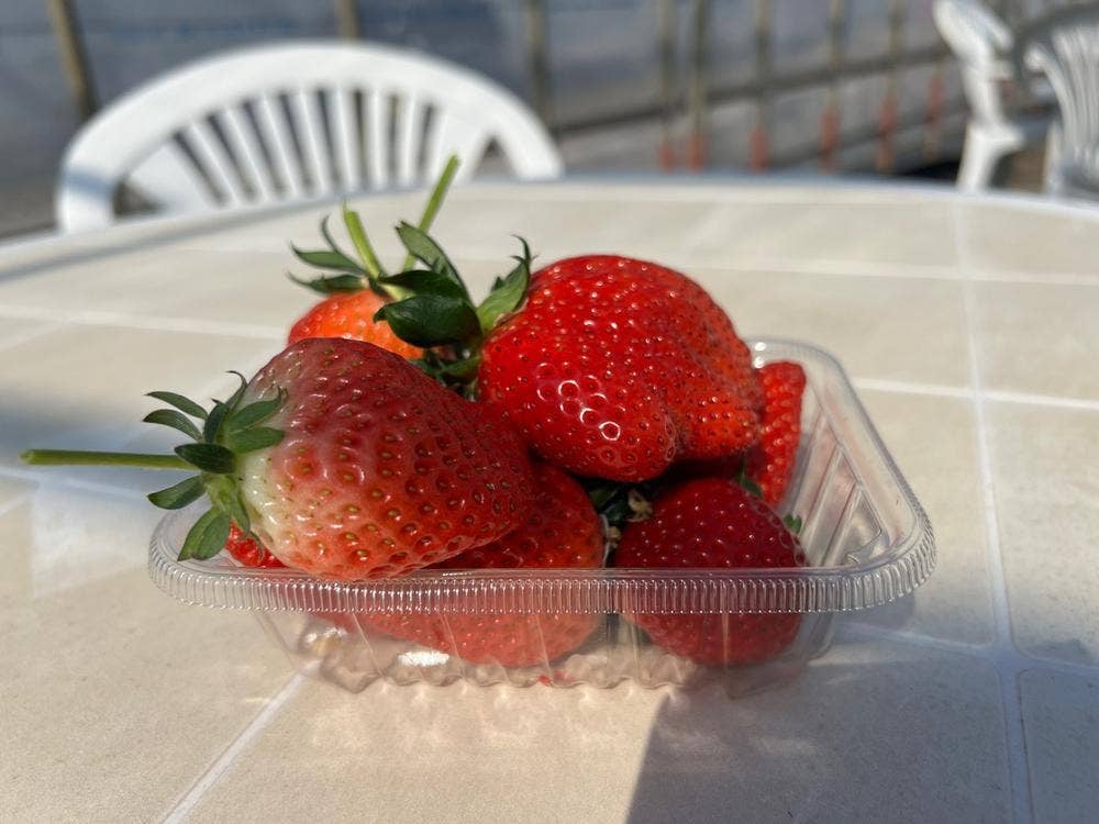 小山ファーム