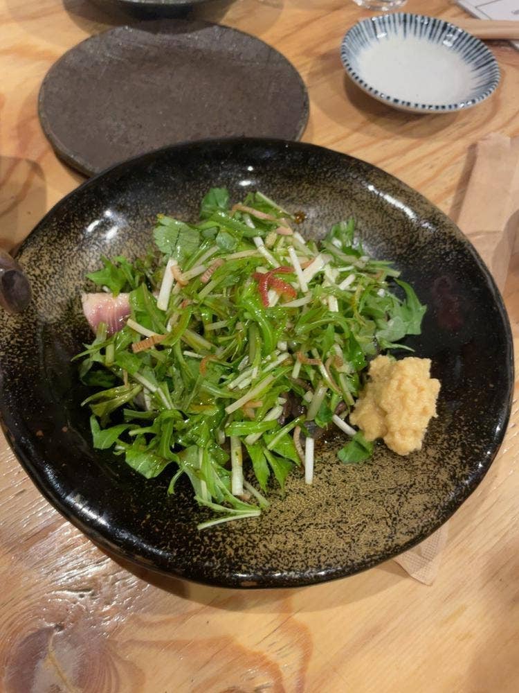 大衆酒場 ニューオドロカ