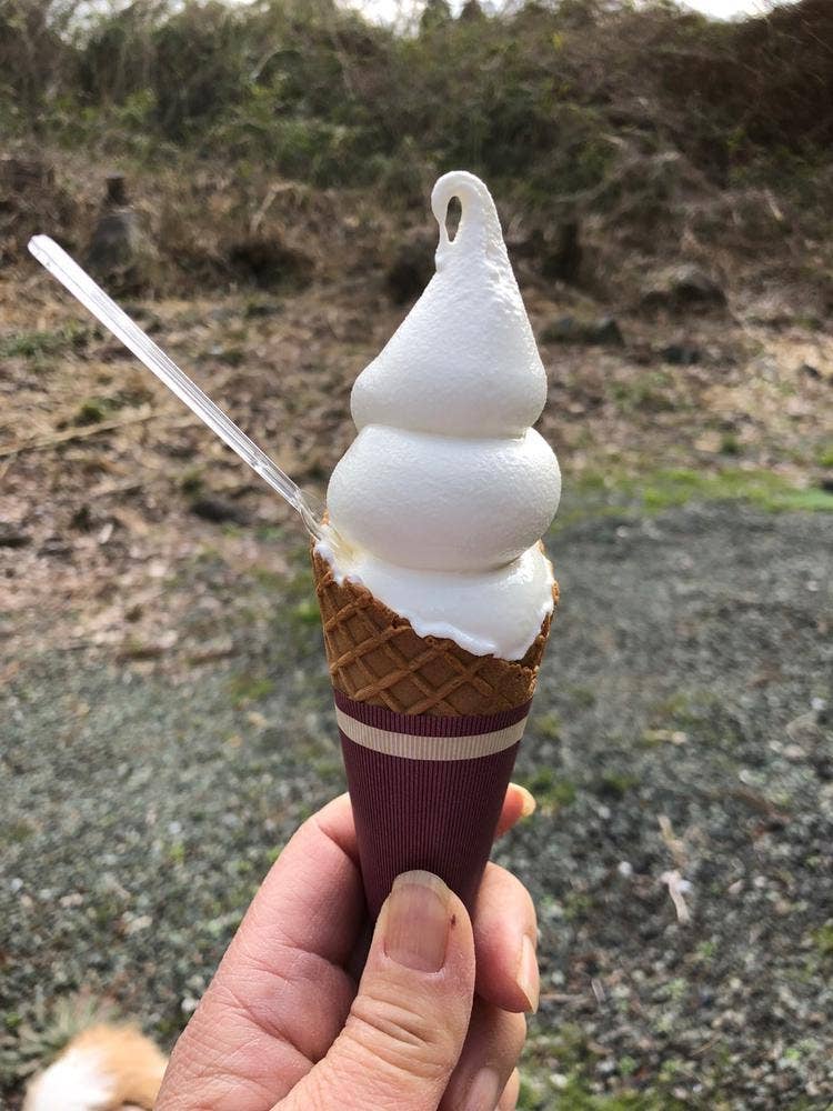 庵ころもち