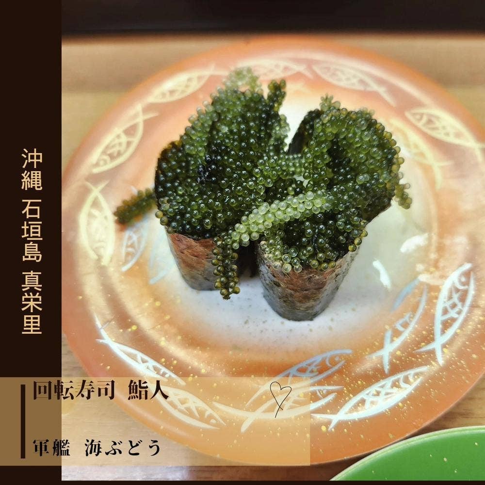 回転寿司 鮨人
