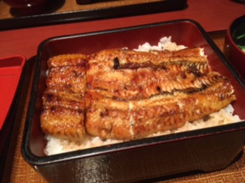 うなぎ屋 かけだ