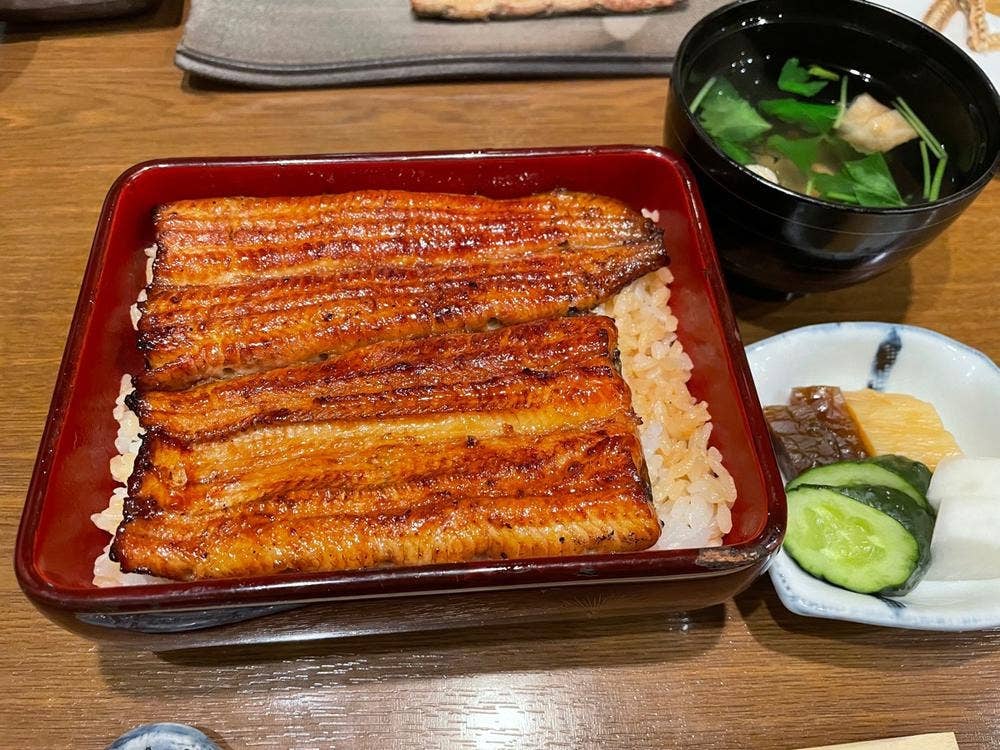 鰻 はし本